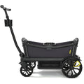 Veer All-Terrain Cruiser (2-seater)