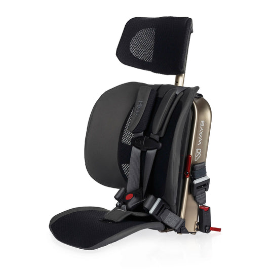 WAYB Pico Traveling Booster Car Seat