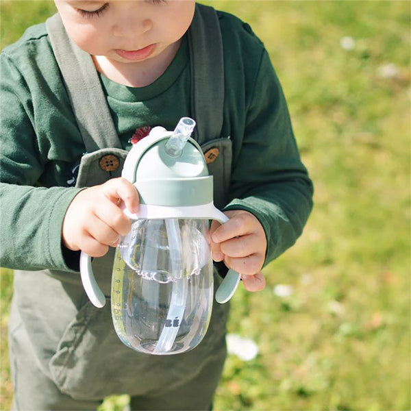 Beaba Straw Sippy Cup