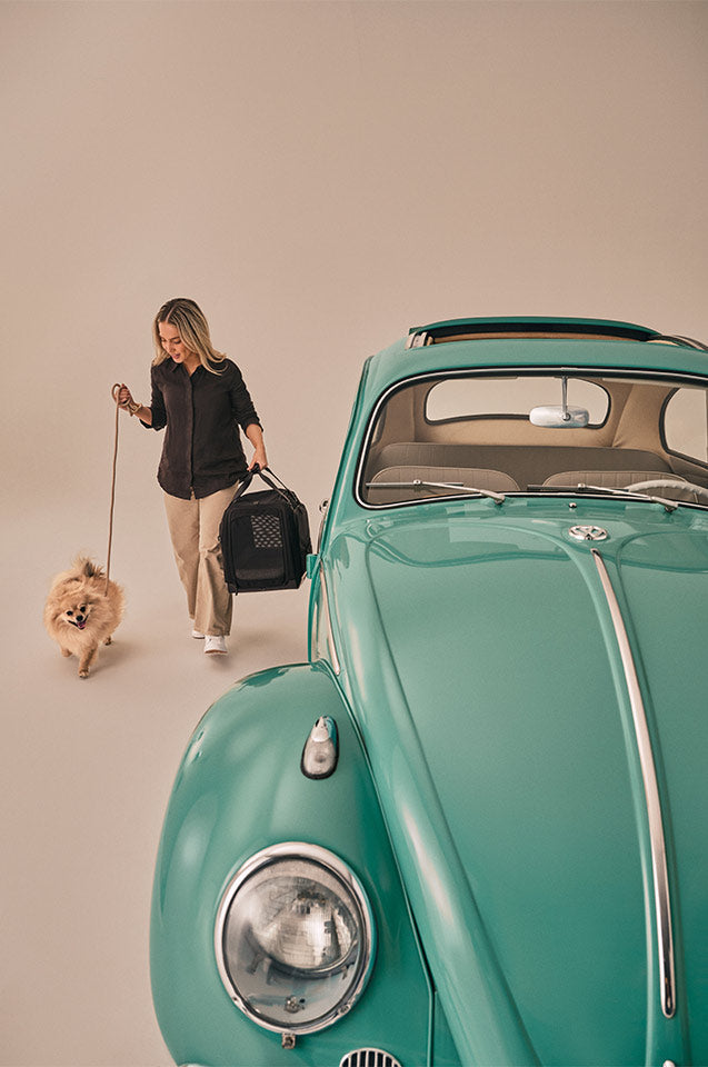 Hendrick Tavo Pets Hendrick Pet Car Seat Carrier