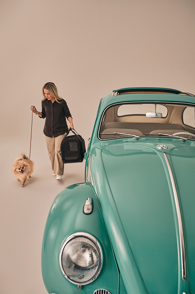 Hendrick Tavo Pets Hendrick Pet Car Seat Carrier