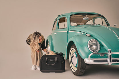 Hendrick Tavo Pets Hendrick Pet Car Seat Carrier