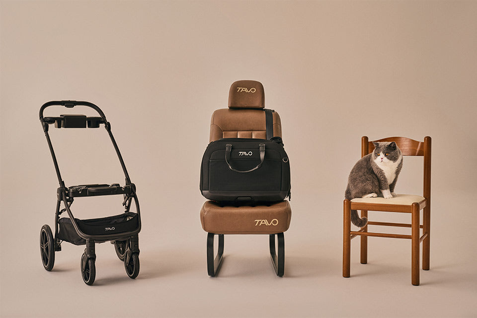 Hendrick Tavo Pets Hendrick Pet Car Seat Carrier