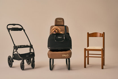 Hendrick Tavo Pets Hendrick Pet Car Seat Carrier