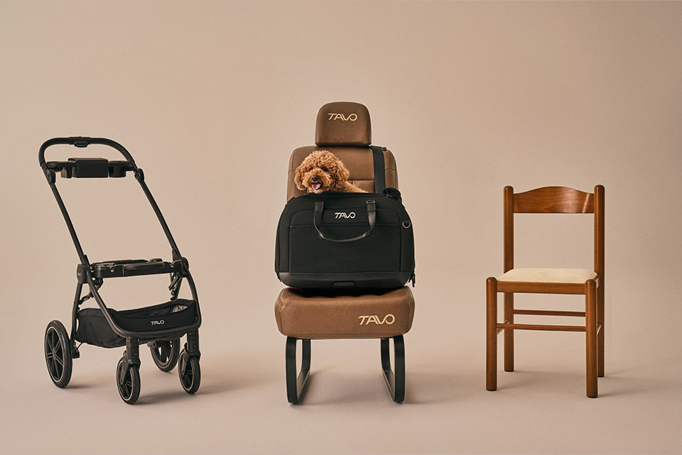 Hendrick + Roscoe Trek + Adapter Travel System