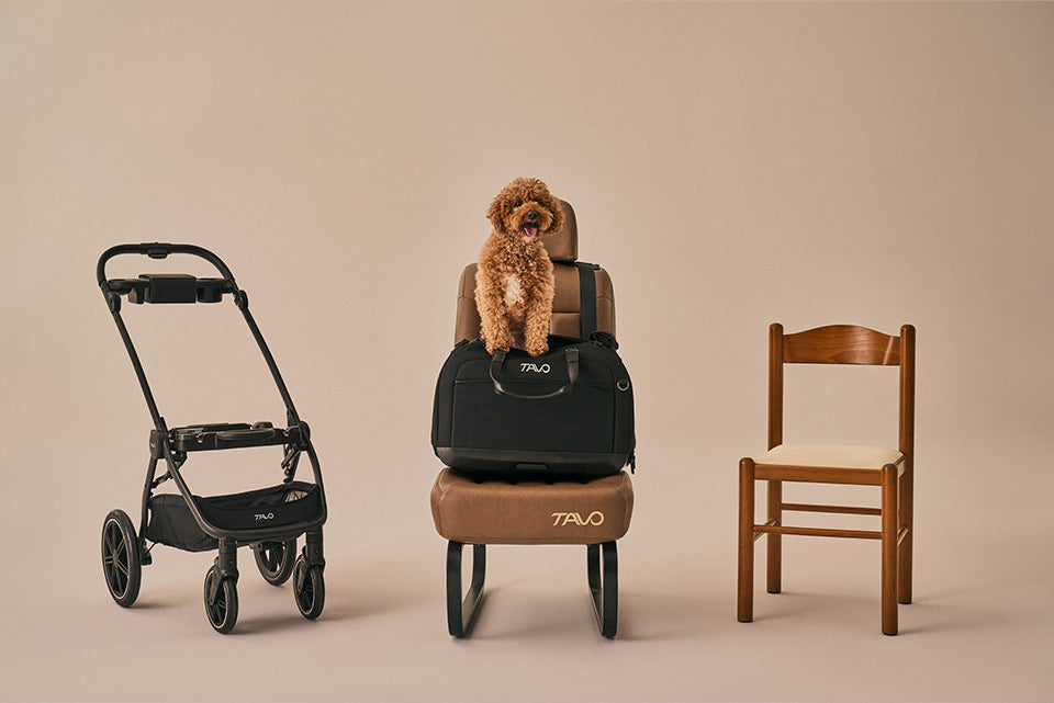 Hendrick + Roscoe Trek + Adapter Travel System