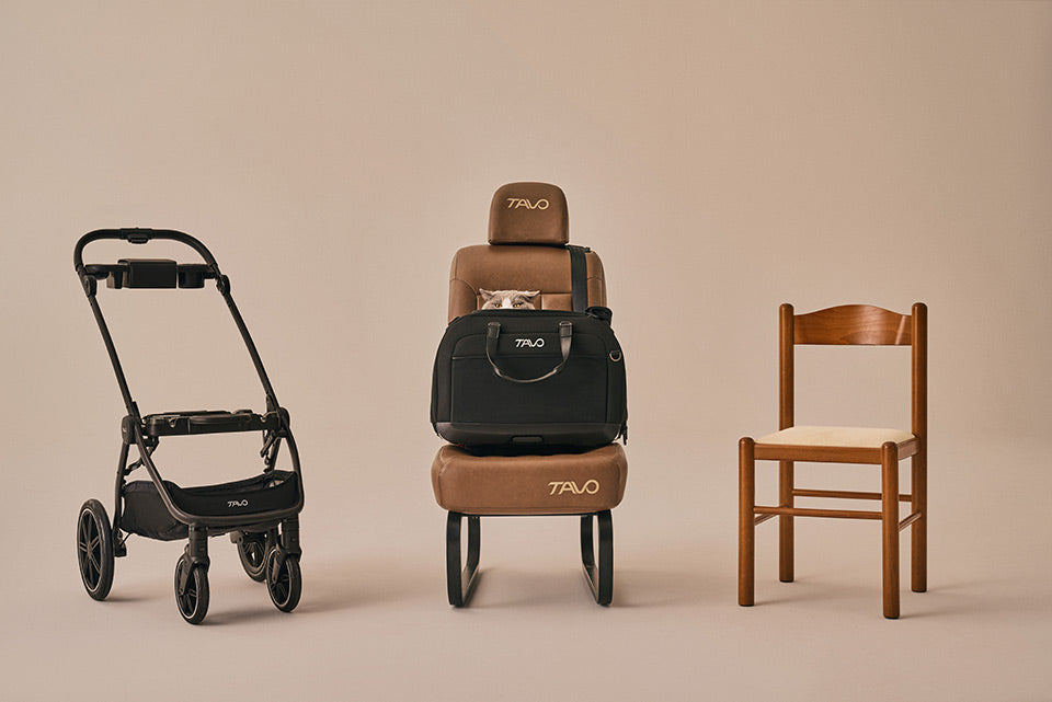 Hendrick Tavo Pets Hendrick Pet Car Seat Carrier