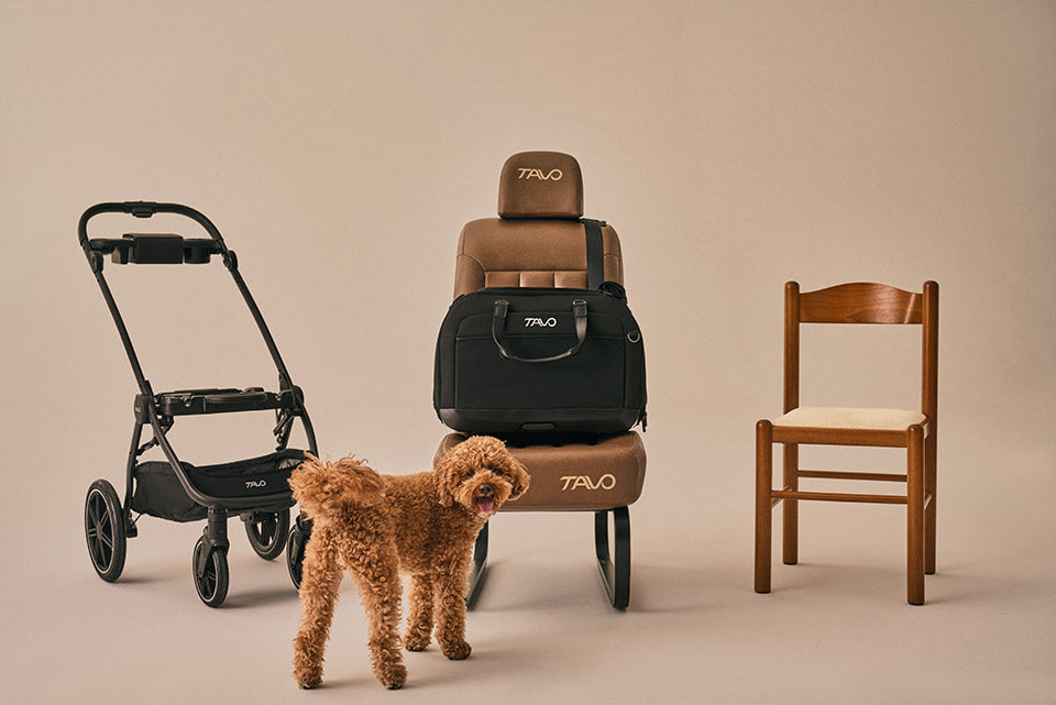 Hendrick Tavo Pets Hendrick Pet Car Seat Carrier