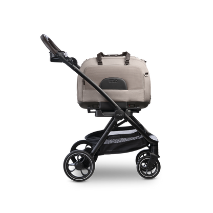 Hendrick Tavo Pets Hendrick Pet Car Seat Carrier