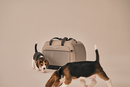 Hendrick Tavo Pets Hendrick Pet Car Seat Carrier