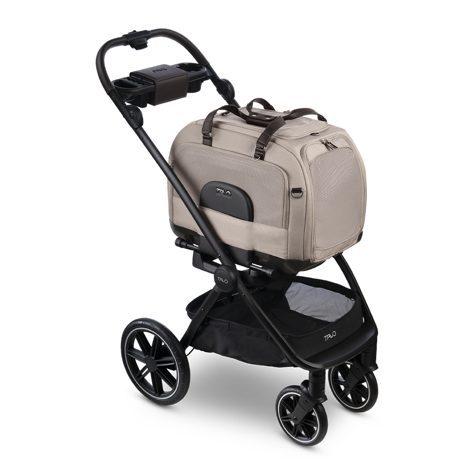 Hendrick Tavo Pets Hendrick Pet Car Seat Carrier