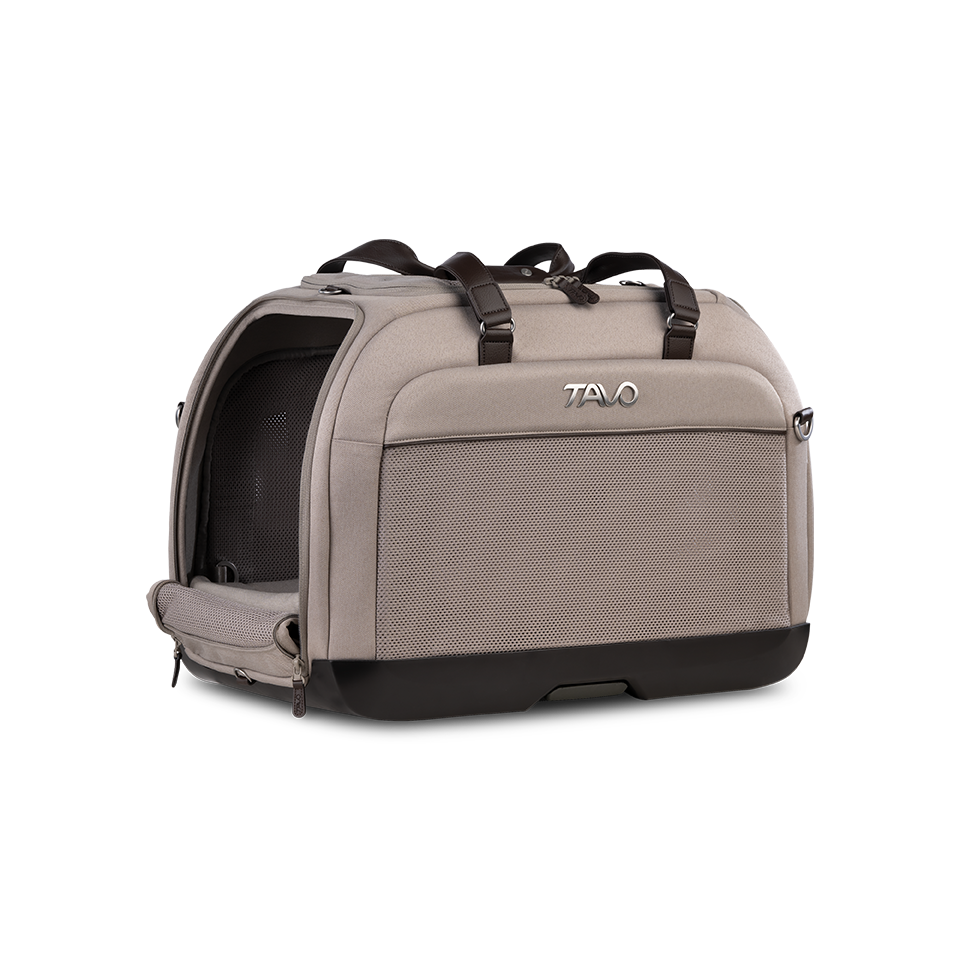 Hendrick Tavo Pets Hendrick Pet Car Seat Carrier