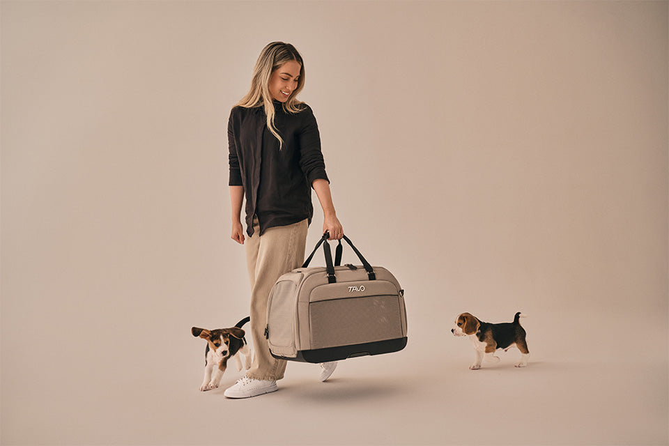 Hendrick Tavo Pets Hendrick Pet Car Seat Carrier