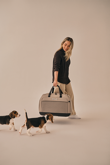 Hendrick Tavo Pets Hendrick Pet Car Seat Carrier