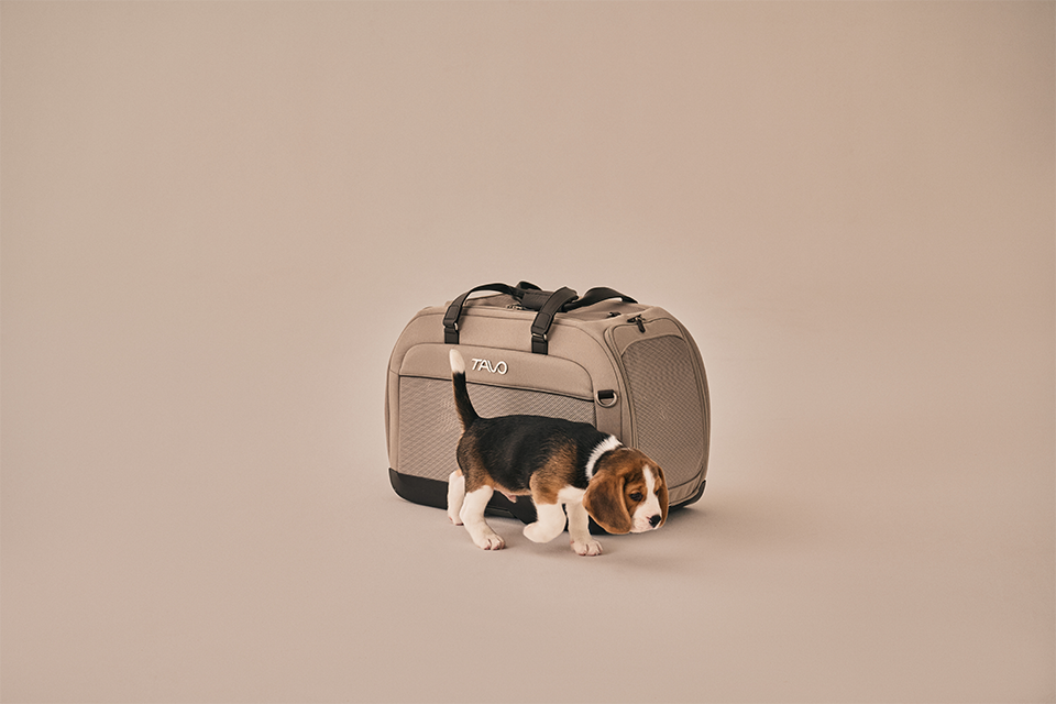 Hendrick Tavo Pets Hendrick Pet Car Seat Carrier