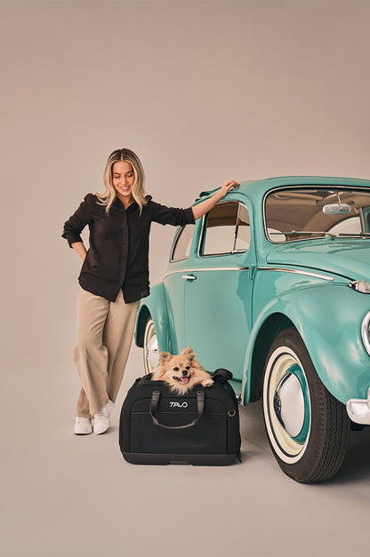 Hendrick Tavo Pets Hendrick Pet Car Seat Carrier