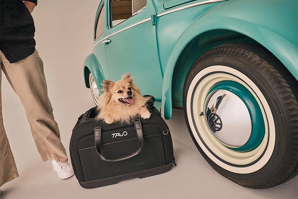 Tavo Pets Hendrick Pet Car Seat Carrier