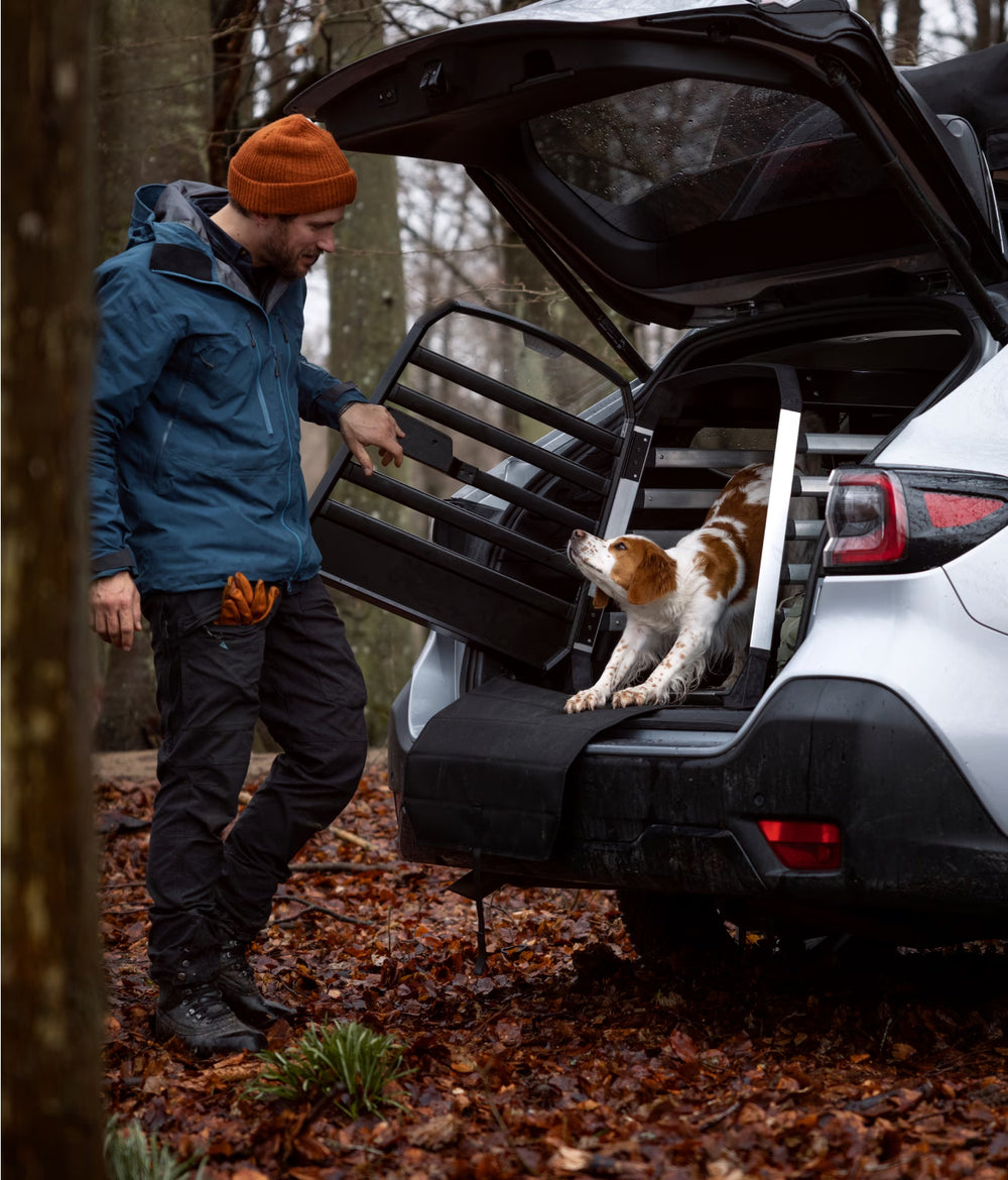 Thule Dog Travel Gear