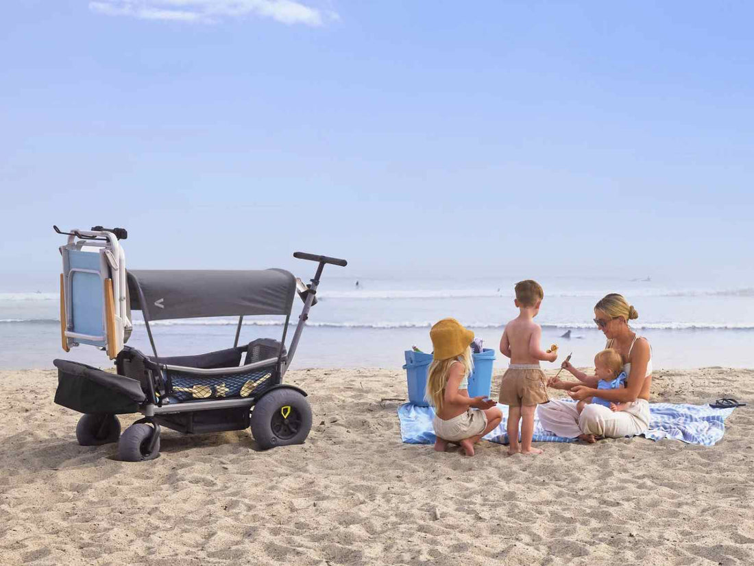
Veer Cruiser Beach Wheel Kit