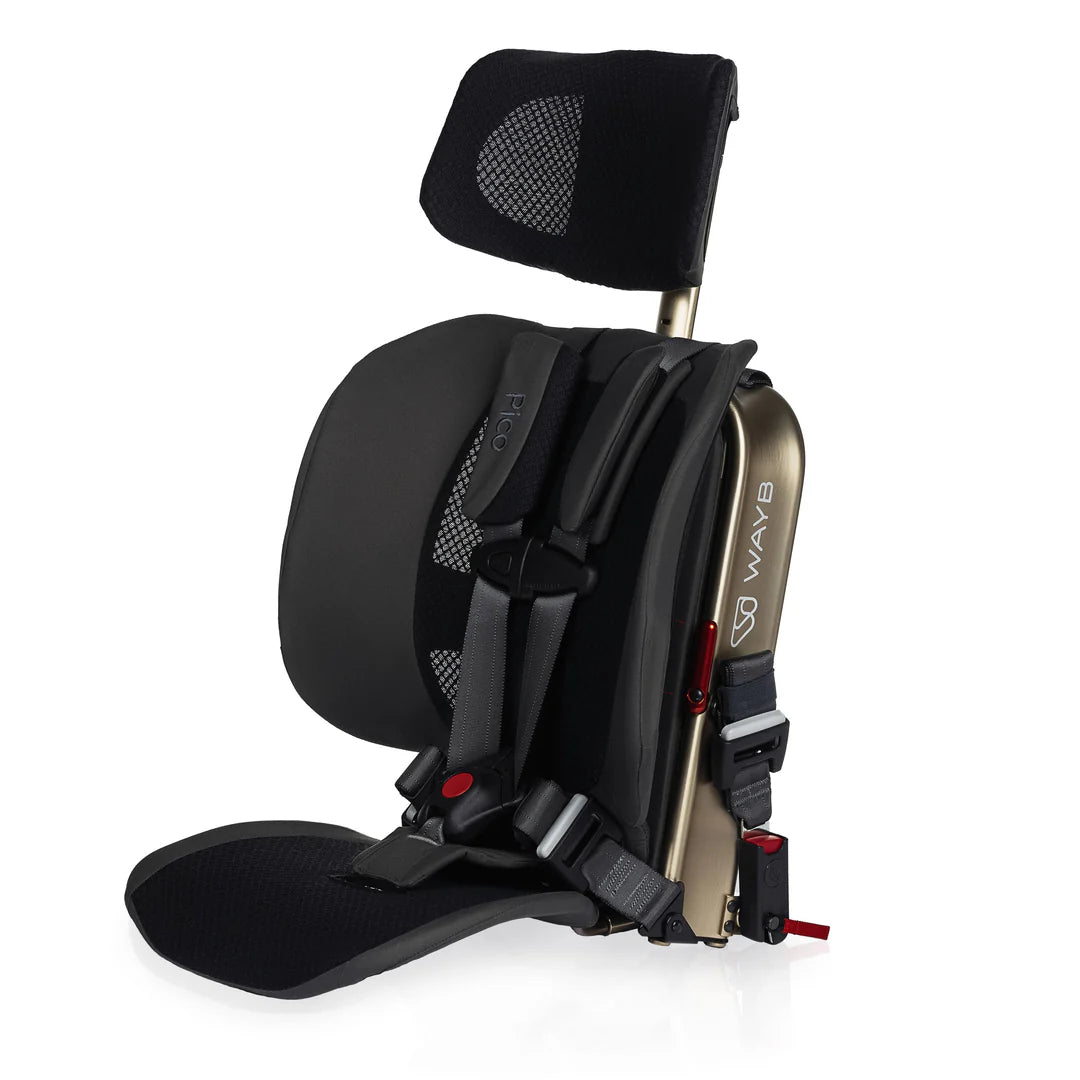WAYB Pico Traveling Booster Car Seat