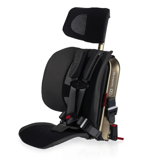 WAYB Pico Traveling Booster Car Seat
