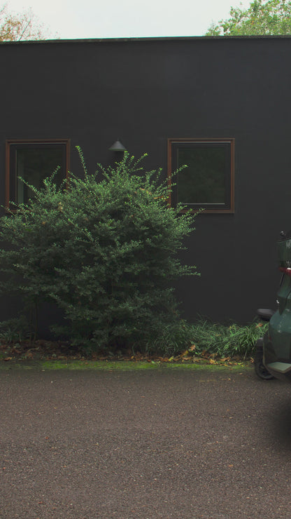 Nuna Triv lx + Pipa URBN Travel System