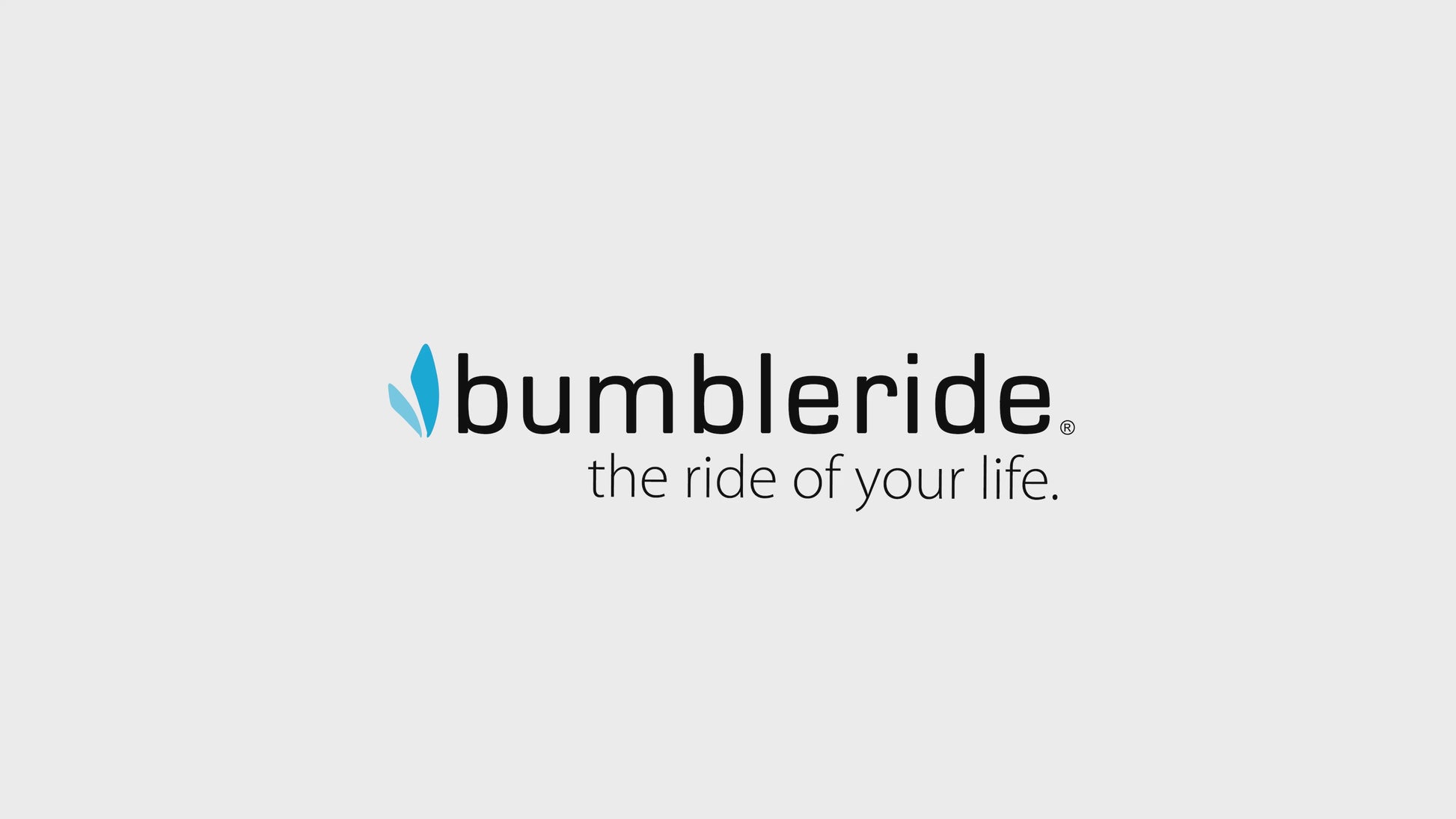 Bumbleride Indie Twin + Clek Liing Travel System