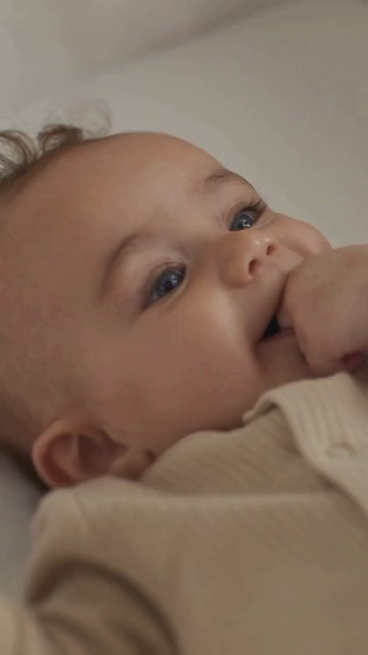 Snuz SnuzPod 5 Bedside Bassinet