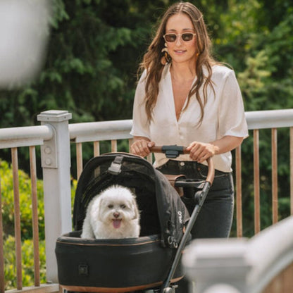 Tavo Pets Maeve + Roscoe 3in1 Pet Protection System - MEDIUM Flex